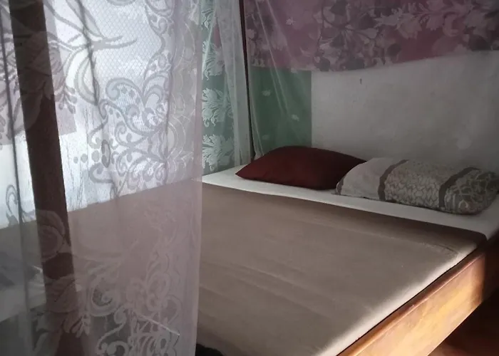 旅馆 阿波罗旅舍
