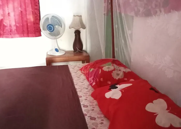 旅馆 阿波罗旅舍 *